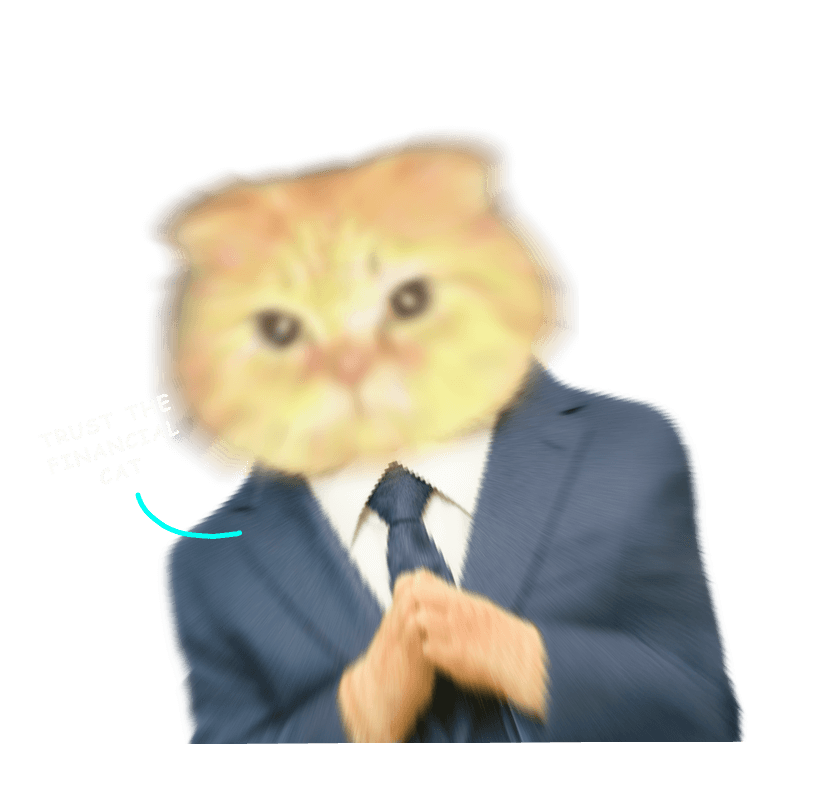 Voicemod Cat on Blackfriday