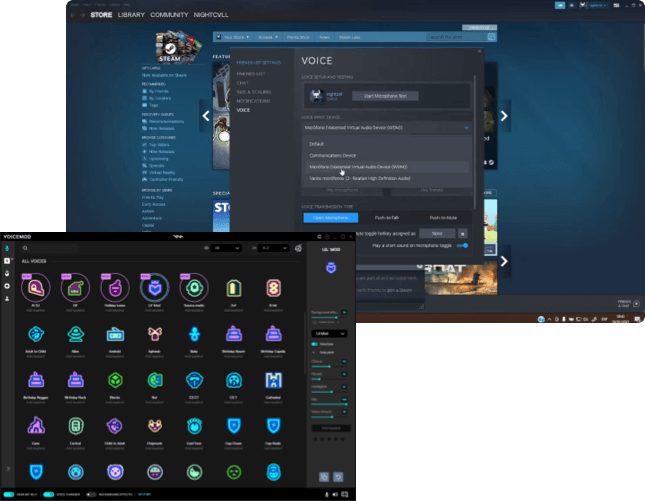 Back 4 blood voice changer